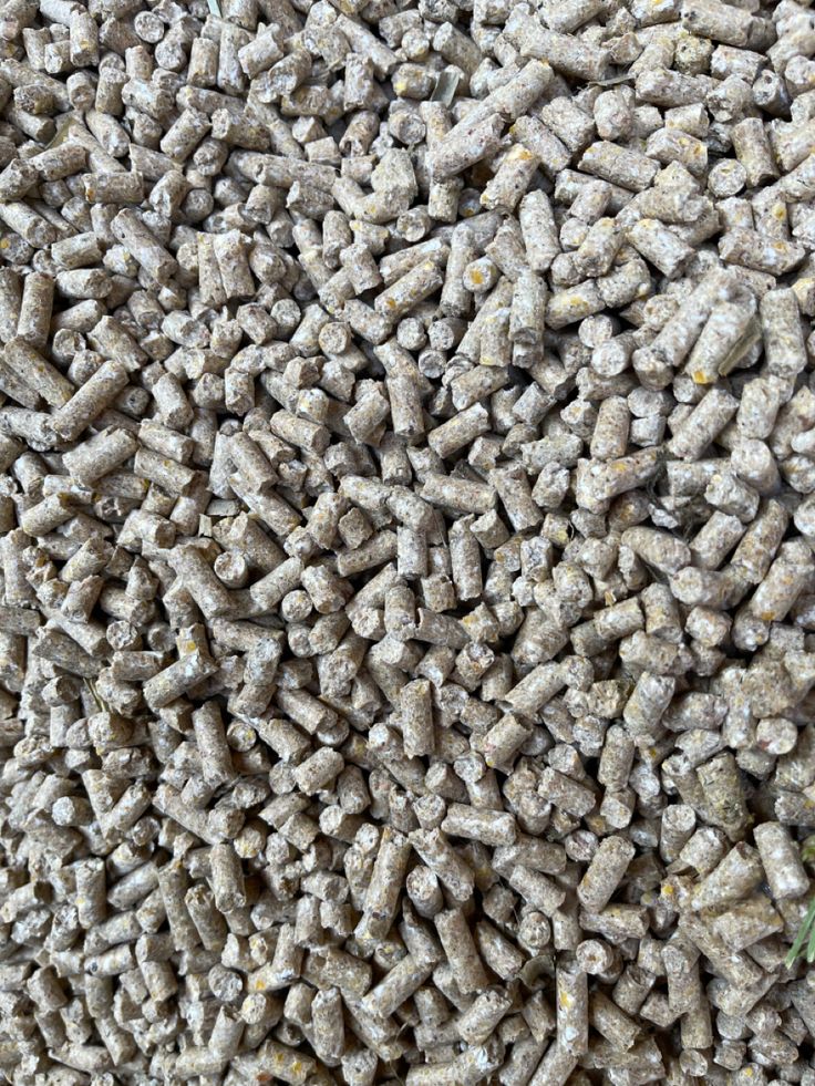 Rabbit Feed 2