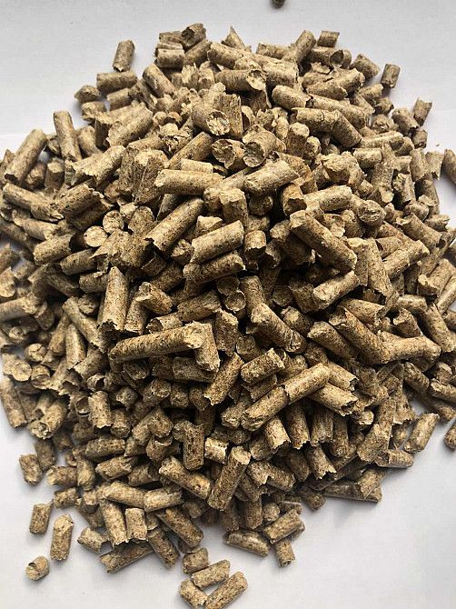 Rabbit Feed 3