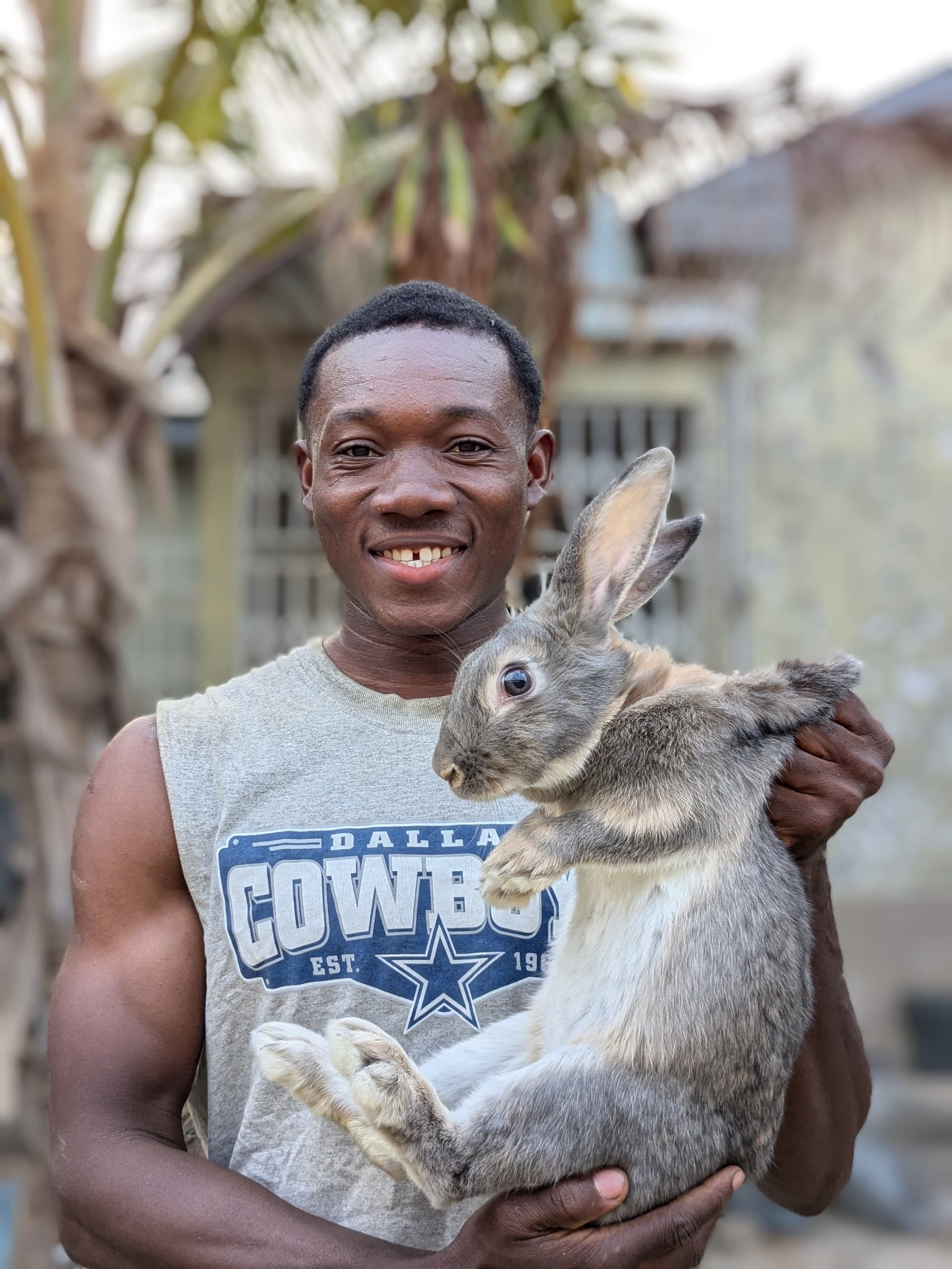 Live Rabbits